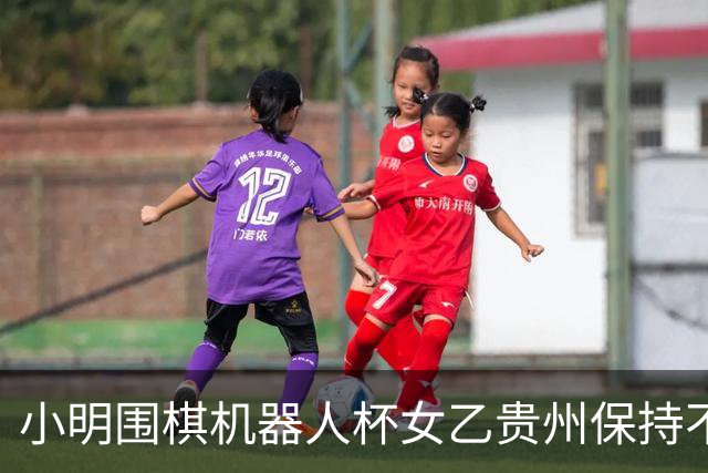 小明围棋机器人杯女乙贵州保持不败 内蒙古领跑丙组